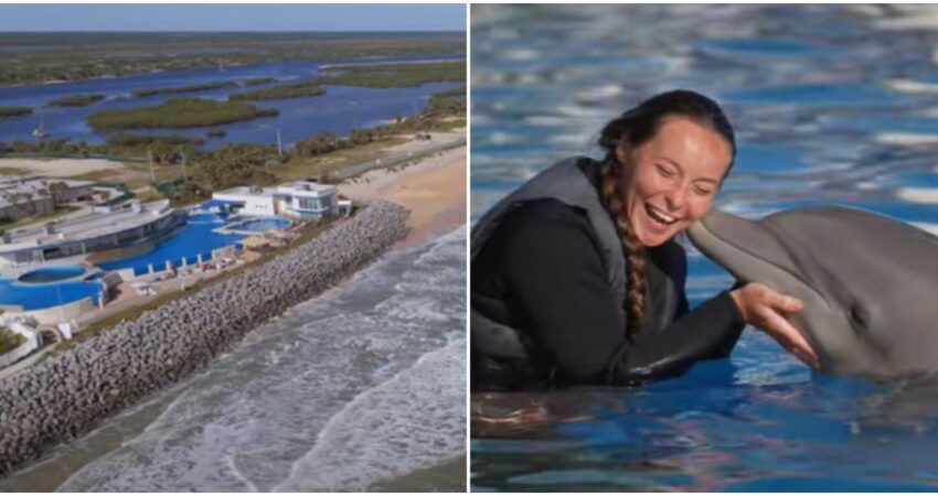 Pueblo costero de Florida que posee apenas 9 habitantes se ha convertido en un popular destino turístico pueblo costero de Florida-destino turístico