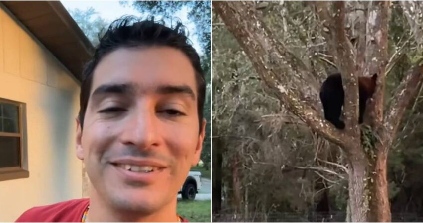 Meteorรณlogo cubano tras reportar sobre huracรกn Milton regresa a su casa en Florida y lo sorprende la visita de un oso en el cubamo-florida-oso