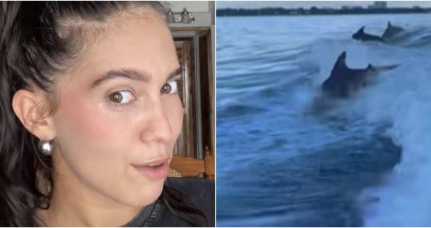 Cubana creyรณ ver un tiburรณn en Varadero, pero era solo un delfรญn cubana-delfin