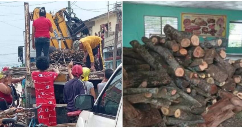 Gobierno provincial de Granma comienza a distribuir leña para garantizar que los pobladores puedan cocinar sus alimentos ante la falta de electricidad, gas licuado y carbón distribución de leña-Granma