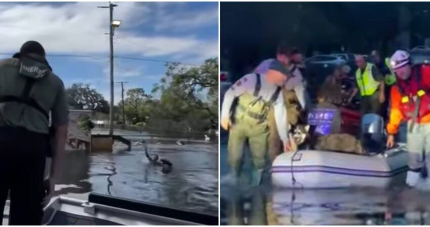 Continรบan ejecutรกndose las labores de rescate en Florida mientras se evalรบan los daรฑos y las muertes por el paso del huracรกn Milton rescates en Florida-afectados huracรกn Milton