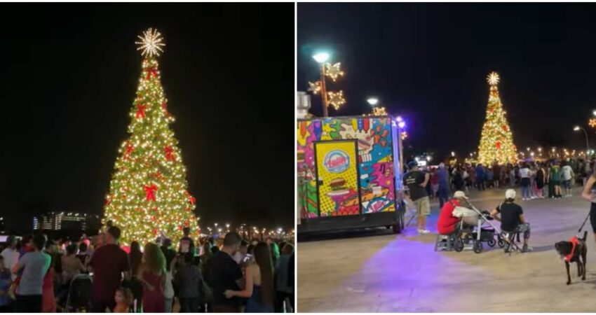 Comienzan las celebraciones navideñas con el encendido del árbol en Bayfront Park Bayfront Park-Árbol de navidad