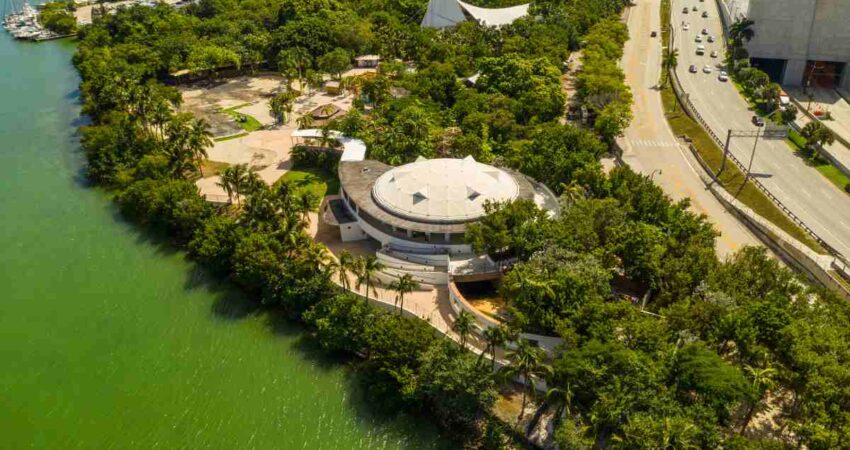 Popular Jungle Island en Miami podría cerrar pronto sus puertas jungle-island-miami-watson-island