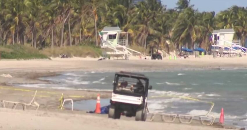 Policía de Miami-Dade investiga cabeza humana que halló un hombre en playa de Key Biscayne playa-key-biscayne