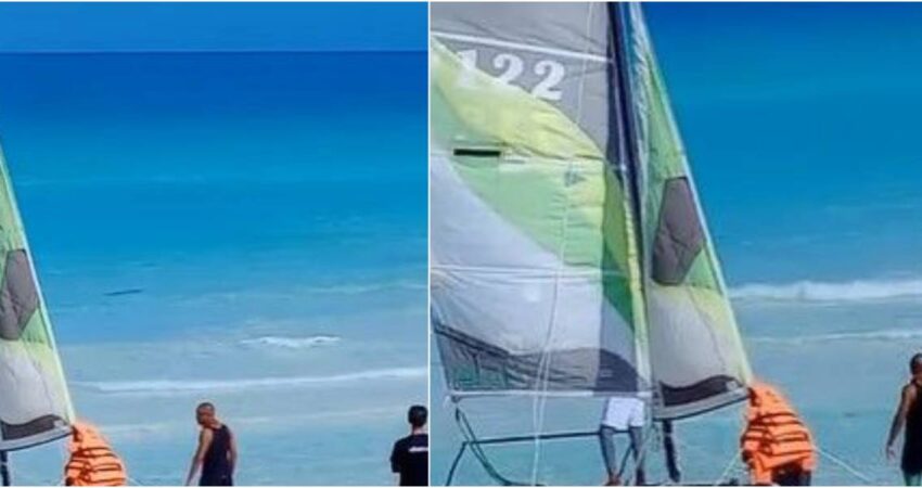 Captan enorme tiburรณn cerca de la orilla de la playa en Cayo Santa Marรญa en Cuba tiburones-santamaria