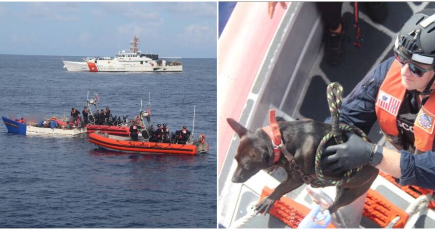 Deportan a Cuba a 20 balseros cubanos y 2 perros que intentaban llegar a Estados Unidos balseros-cubanos-devueltos