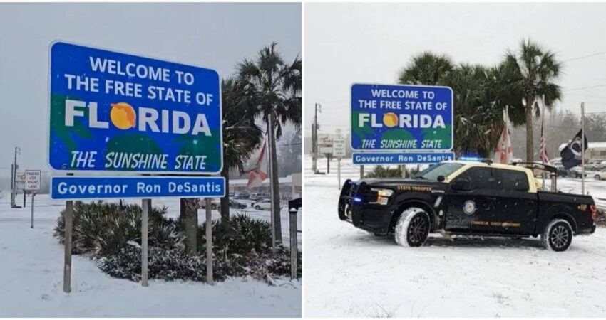 Comienza a caer nieve en Florida florida-nieve (1)