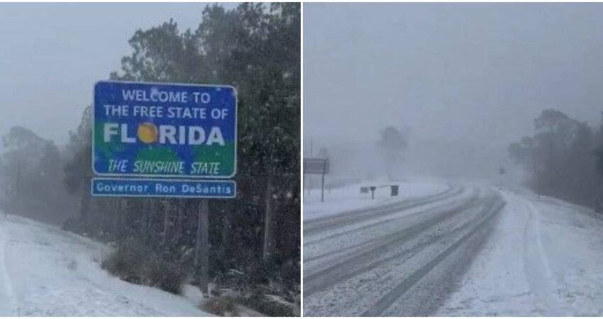 Las mejores imágenes de la nevada histórica en Florida florida-nieve (2)
