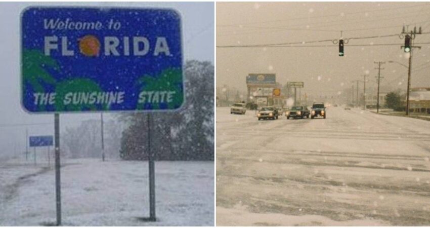 ¿Ha caído nieve en Florida? Descubre cómo se ha comportado en los últimos años florida-nieve