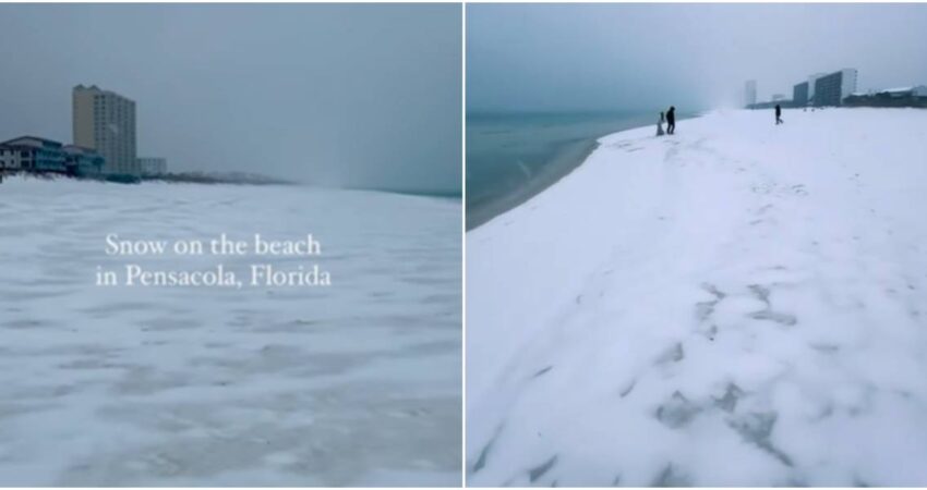 Playas del norte de Florida quedan cubiertas de nieve playa-florida (1)