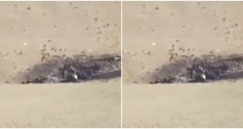 En Arizona, EE.UU., se produce una colisiรณn en el aire entre dos aeronaves pequeรฑas avioneta-arizona