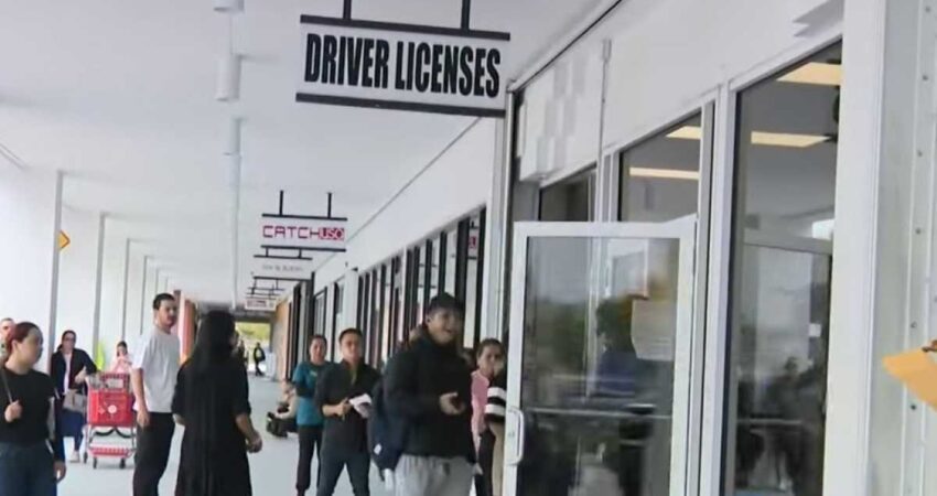 Empresas que venden turnos de citas para las oficinas de la licencia en Miami-Dade son un problema licencia-miami