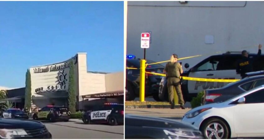 Caos en el Miami International Mall: Hombre muere tras tratar de asesinar a su ex novia miami-international-mall (1)