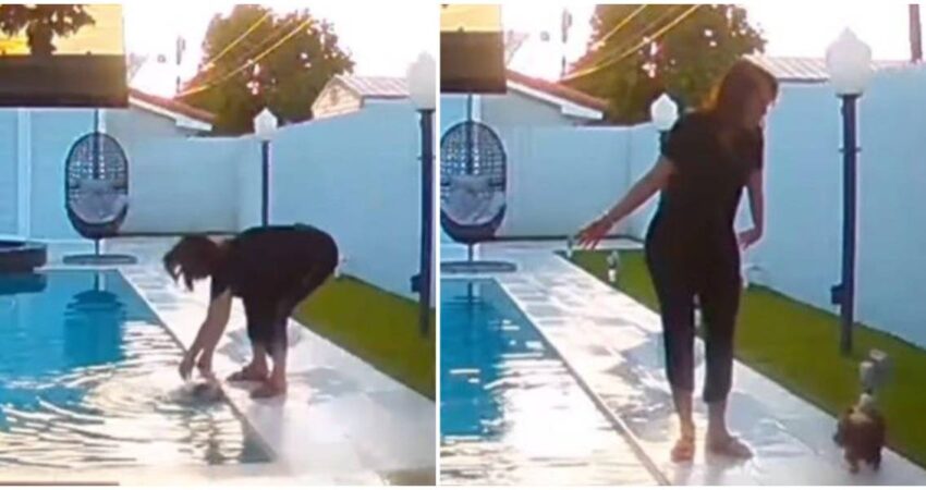 Cubana en Miami salva a su perrito de la piscina y se vuelve viral por su reacciรณn cubana-perrito-miami