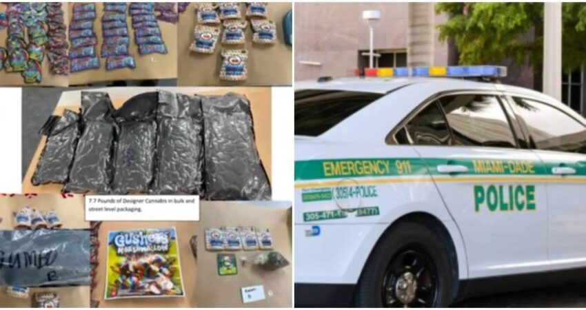 Rescatan a un bebรฉ de dos aรฑos de un apartamento de Miami Beach donde habรญan armas y drogas drogas-policรญa de Miami