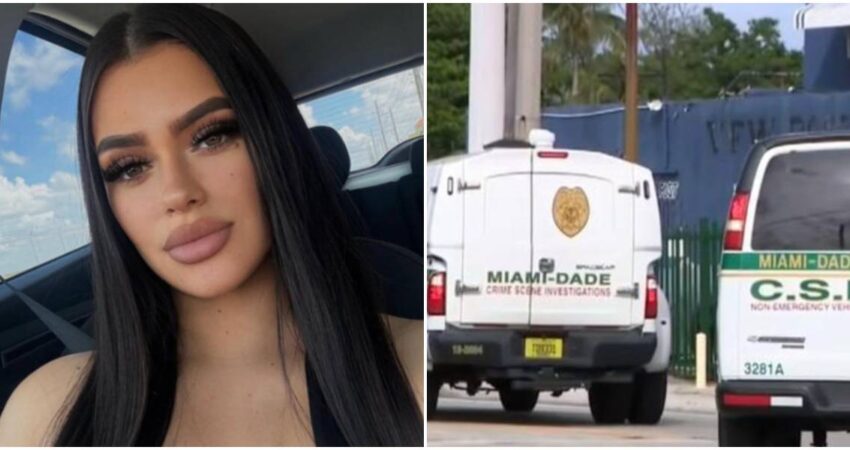 Niña de tres años guía a la policía de Miami-Dade hasta el auto donde se encontraba muerta su madre tras ser apuñalada mujer asesinada- CSI Miami-Dade
