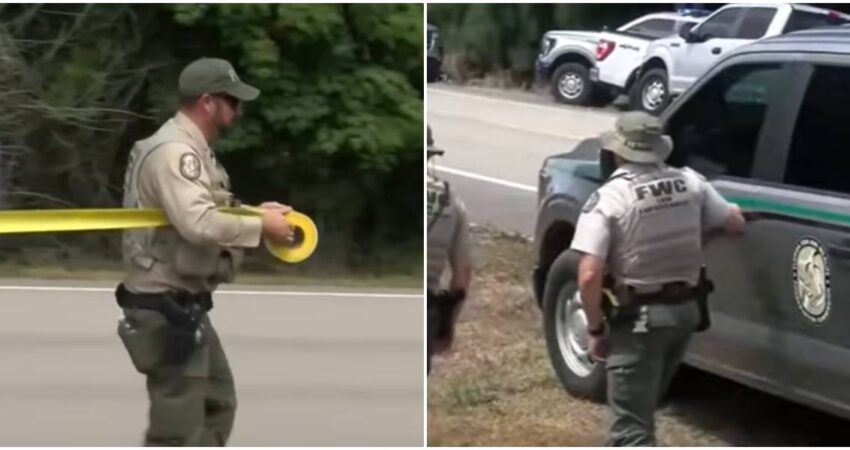 Agentes de FWC atrapan a tres osos tras ataque que dejó un anciano y su perro muertos en el condado de Collier FWC-ataque de osos