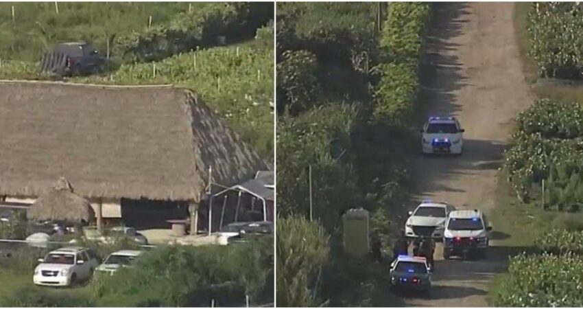 Las autoridades desmantelan lugar ilegal de peleas de gallos en Miami-Dade arrestos-miami-dade
