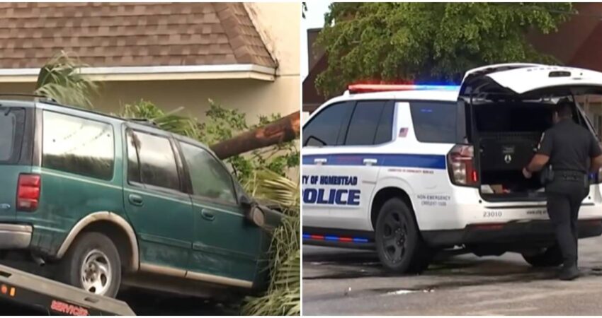 Conductor evade operativo de ICE y derriba un poste de electricidad en Homestead tras impactarlo con su auto accidente de tránsito-Policía de Homestead