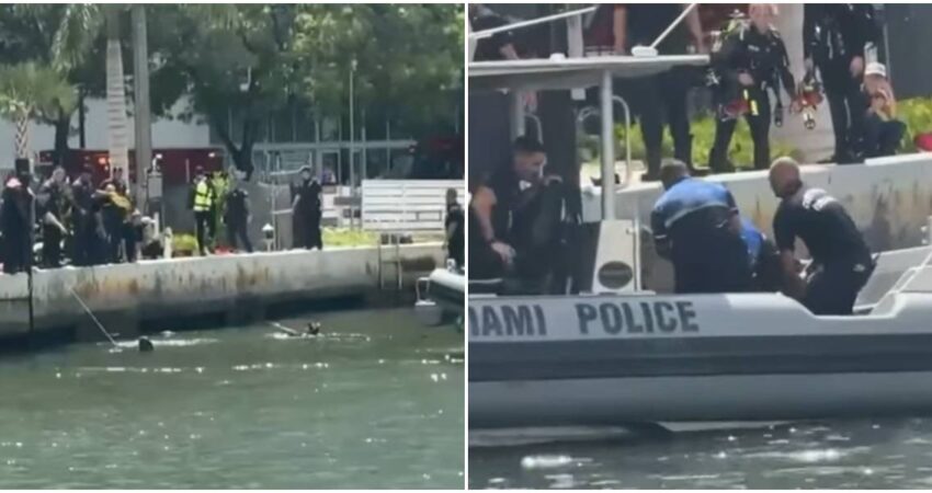 Mujer muere presuntamente ahogada en el River Miami y las autoridades arrestan a un sospechoso equipos de rescate-Policía de Miami-Dade
