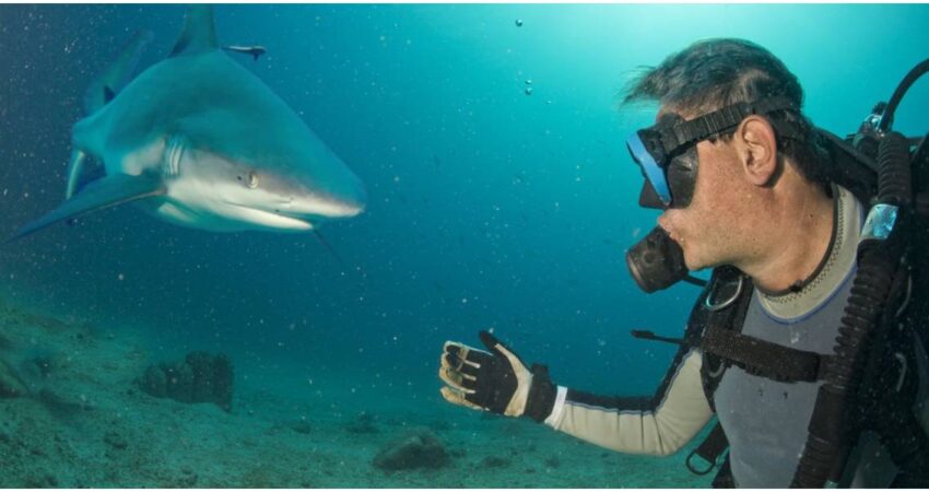 Ataque de tiburón en la costa de Jupiter reaviva alerta por seguridad de buzos en Florida Buzo y tiburón
