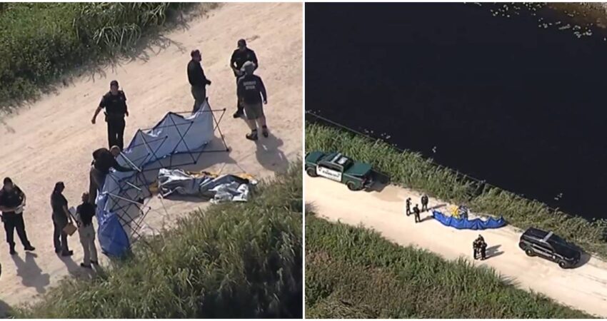 Encuentran un cuerpo junto a un vehículo sumergido en un canal del oeste de Broward: autoridades investigan las causas Hallazgo de cuerpo en Broward