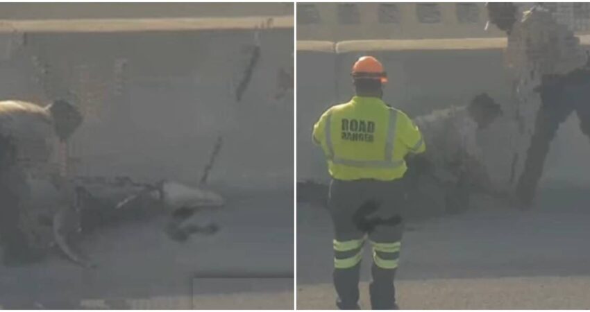 Caimán en plena autopista Turnpike de Florida sorprende a conductores y genera interrupciones en el tráfico caimán en la carretera-Turnpike, Florida