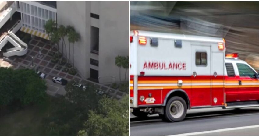 Policía de Miami investiga apuñalamiento de mujer en una estación de Metrotrail Downtown-Ambulancia