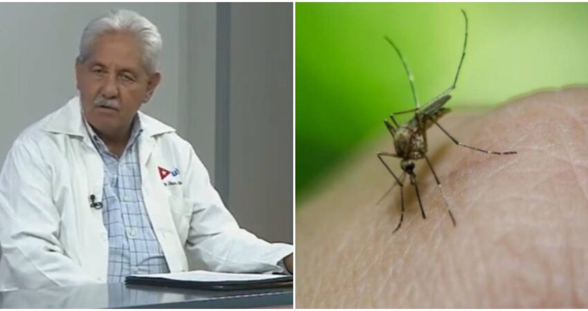 Autoridades sanitarias de Cuba confirman focos de dengue y otras enfermedades en varias provincias del paรญs Dr. Francisco Durรกn-Mosquito