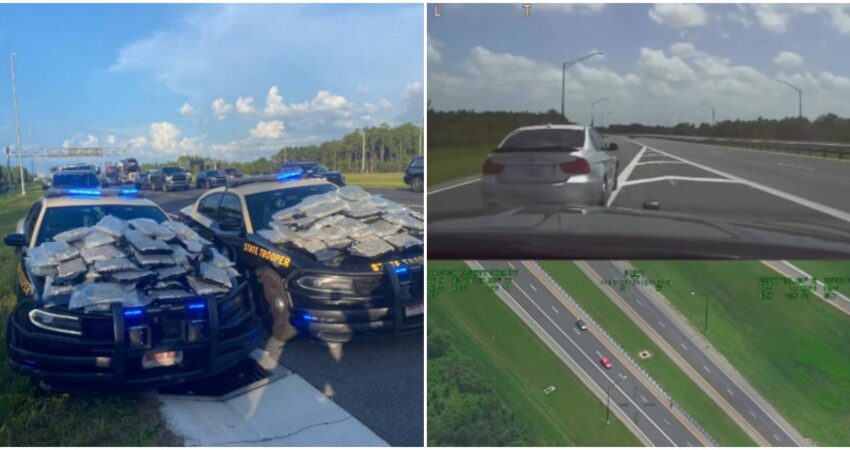 Arrestado conductor en Florida por huir de la policรญa y tener marihuana y miles de dรณlares en el auto Incautaciรณn de drogas- persecuciรณn policial