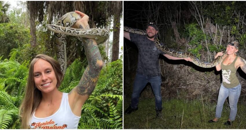 Dan a conocer ganadores de Florida Python Challenge 2025 entre ellos se destaca la influencer Taylor Stanberry Influencer Taylor