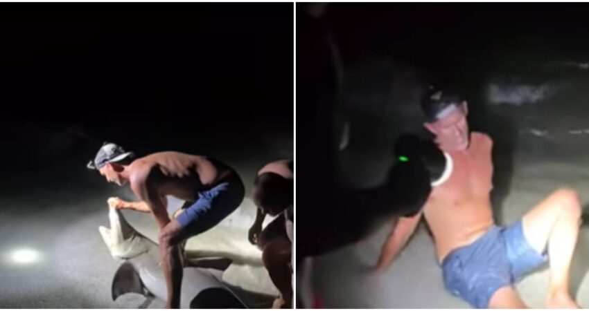Pescador de Boca Grande hospitalizado después de que un tiburón lo mordiera en una de sus piernas Pescador y tiburón