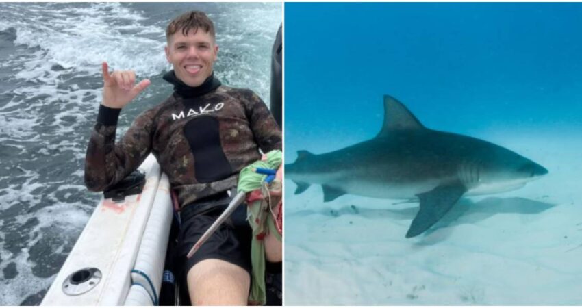 Pescador submarino sufre ataque de tiburón en una de sus piernas mientras nadaba en una zona de Florida joven herido-tiburón toro