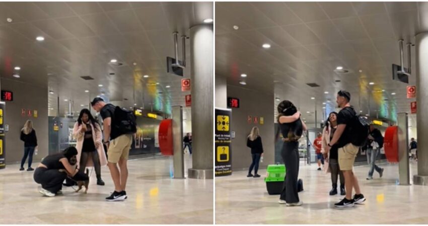 Conmovedor reencuentro de una cubana con su perro en aeropuerto de España: “Mi pedacito de vida" reencuentro de cubana y su perro