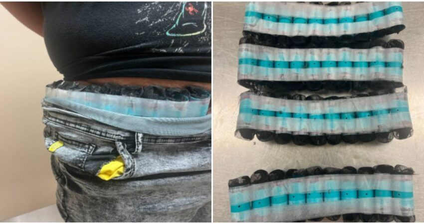 Joven cubano detenido en el aeropuerto de Miami tras intentar contrabandear 40 aves vivas alrededor de su cuerpo tráfico de aves