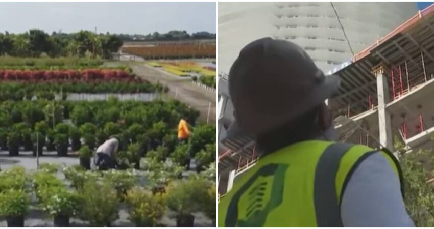 Redadas migratorias en EE.UU han provocado la pérdida de más de un millón de trabajadores de la fuerza laboral agricultores-constructor
