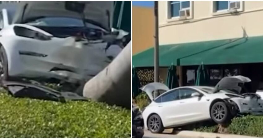 Impactante accidente en Miami Beach: un Tesla se estrella contra una palmera y desata un operativo policial que termina con dos detenidos Accidente de tránsito