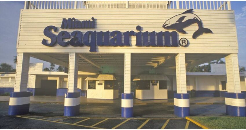 Fin del Seaquarium: Miami apaga su ícono turístico más polémico después de siete décadas de funcionamiento Acuario de Miami (1)