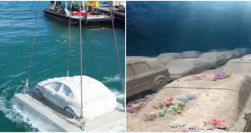 "Arte bajo el mar": Miami Beach inaugura el primer parque de esculturas submarinas de Estados Unidos Arte acuático en Miami Beach