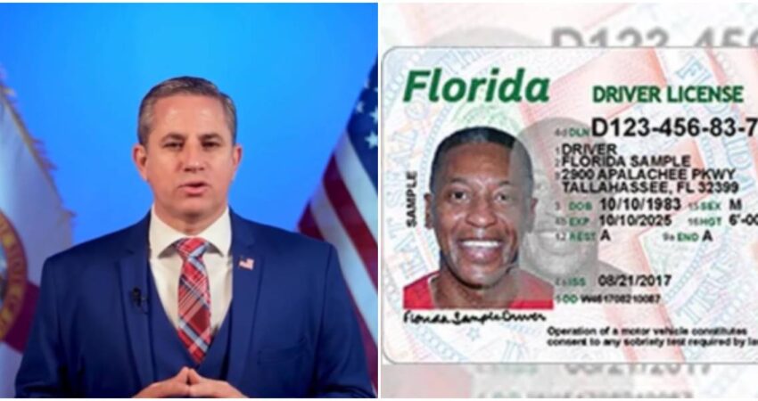 Autoridades de Miami-Dade piden a nuevos conductores revisar su registro electoral antes de las elecciones de 2025 Dariel Fernández-licencias de conducir