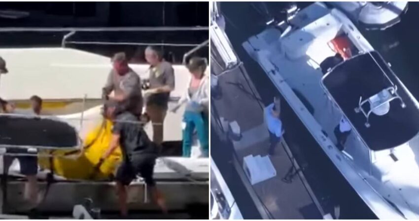 ¿Accidente o crimen?: Hallan cuerpo de una persona flotando en el mar frente a Miami Beach hallazgo de cadáver