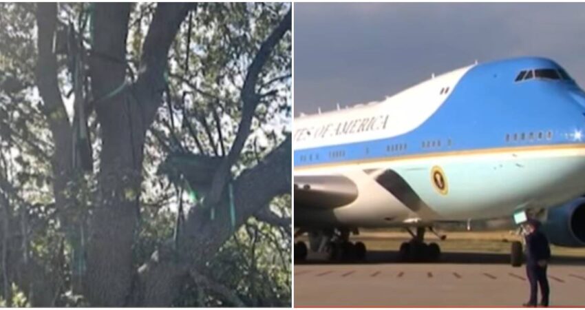 FBI en alerta por hallazgo sospechoso de un puesto de vigilancia con vista al Air Force One en Palm Beach puesto de caza-Air Force One