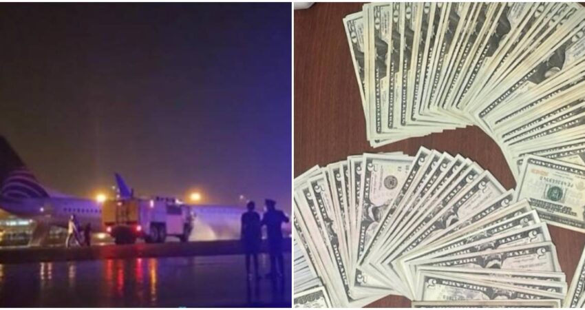 Escรกndalo en Panamรก: mujer llega desde Cuba con mรกs de 16 mil dรณlares escondidos en zonas รญntimas aeropuerto de panamรก-dinero en efectivo (1)