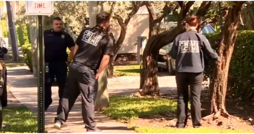 Macabro hallazgo en North Miami Beach: una cabeza de cerdo alarma a la comunidad hallazgo en North Miami