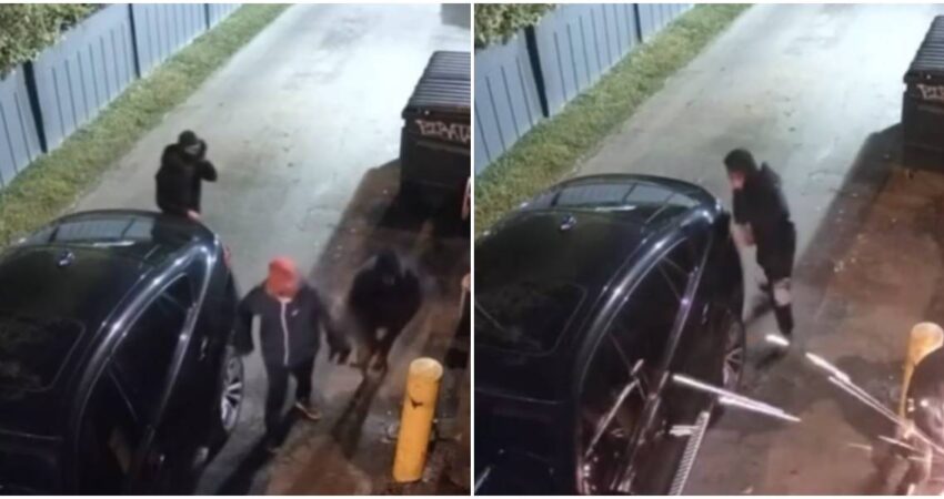 “Alarma en Miami-Dade": cuatro sospechosos cubanos intentan robar en perfumería de alta gama ladrones cubanos