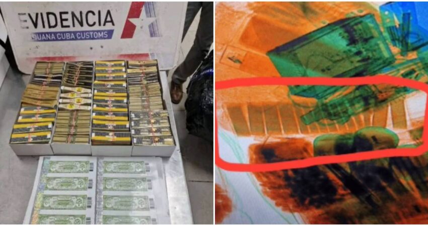 โGolpe al contrabando": Aduana cubana incauta la mayor cantidad de sellos falsos de tabaco del aรฑo sellos falsos de tabacos cubanos