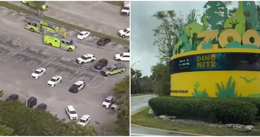 Falsa amenaza de bomba obliga a evacuar Zoo Miami y activa un amplio operativo policial Despliegue policial-Zoo Miami