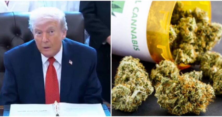 Histórico giro en Washington: Trump firma orden para cambiar el estatus federal de la marihuana Donald Trump-marihuana