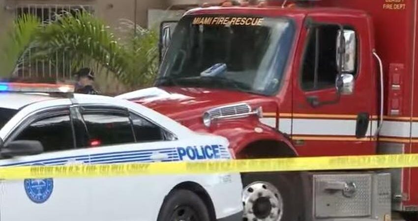 Hallan el cuerpo de una mujer dentro del congelador de una tienda Dollar Tree en la Calle Ocho de Miami bomberos4