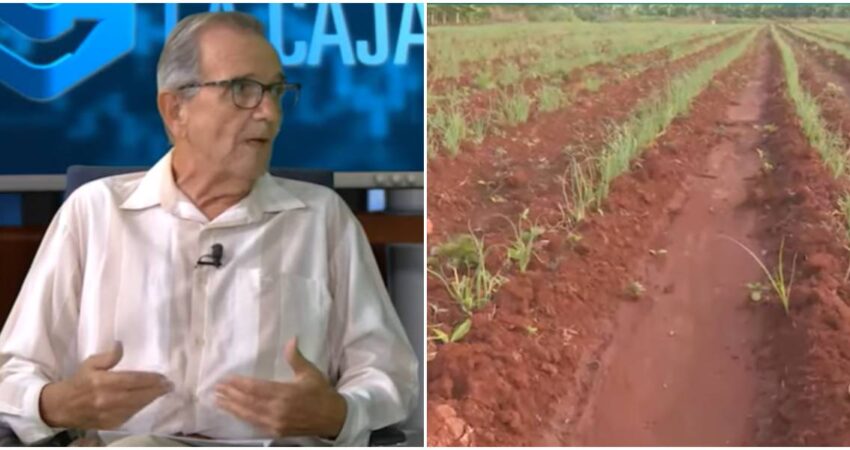 Arroz y papa en la mira: el régimen cubano sugiere dejar de comer estos productos pese a la crisis económica economista cubano-agricultura cubana